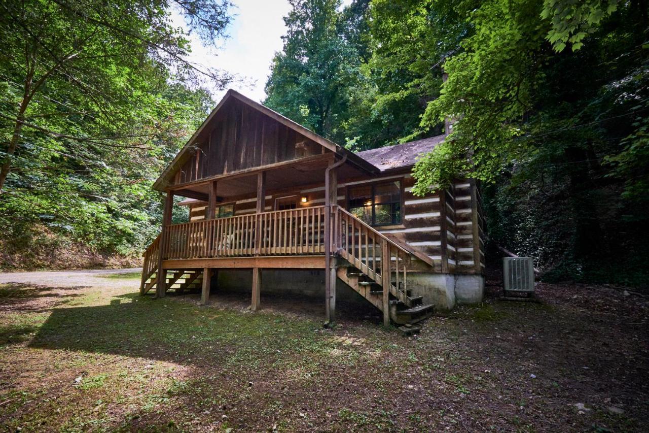 פיג'ן פורג' A Cabin In The Woods מראה חיצוני תמונה