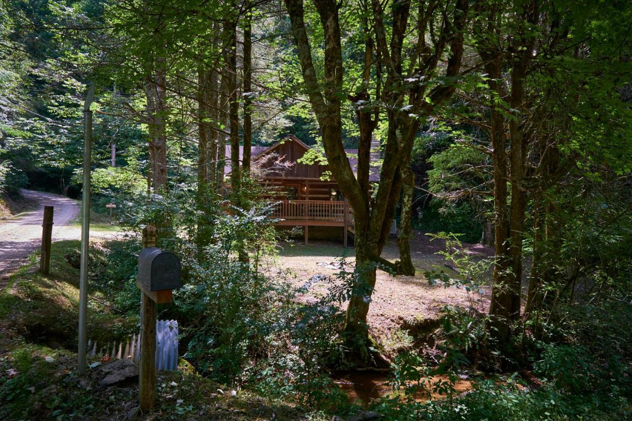 פיג'ן פורג' A Cabin In The Woods מראה חיצוני תמונה