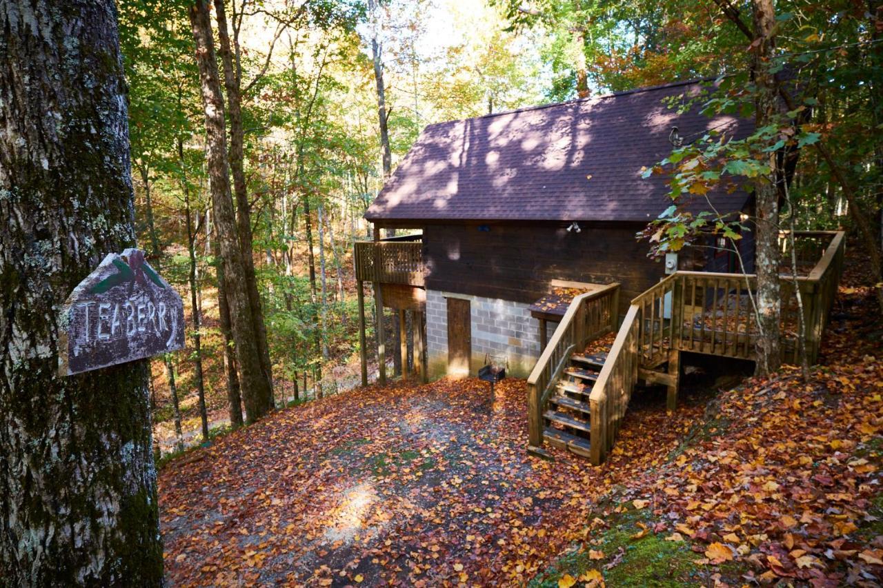 פיג'ן פורג' A Cabin In The Woods מראה חיצוני תמונה