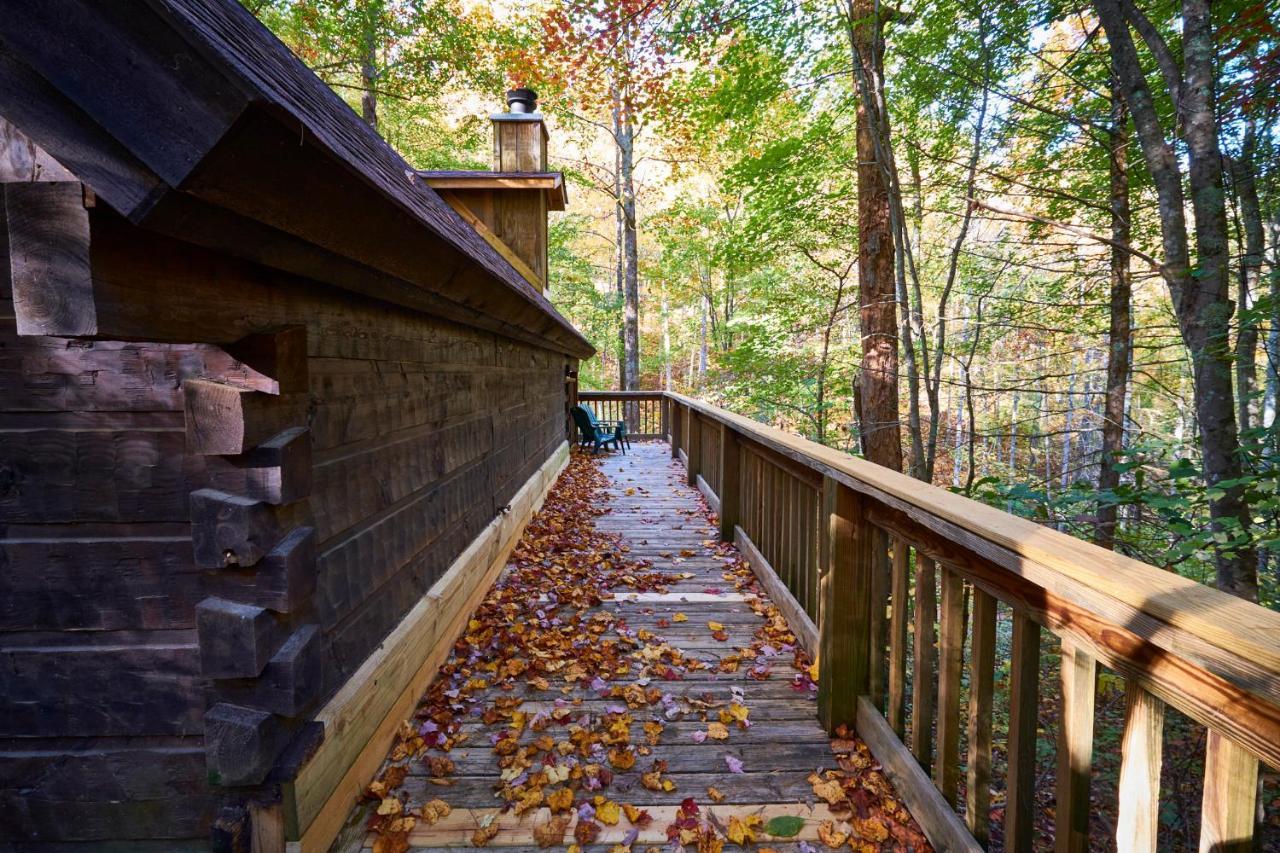 פיג'ן פורג' A Cabin In The Woods מראה חיצוני תמונה