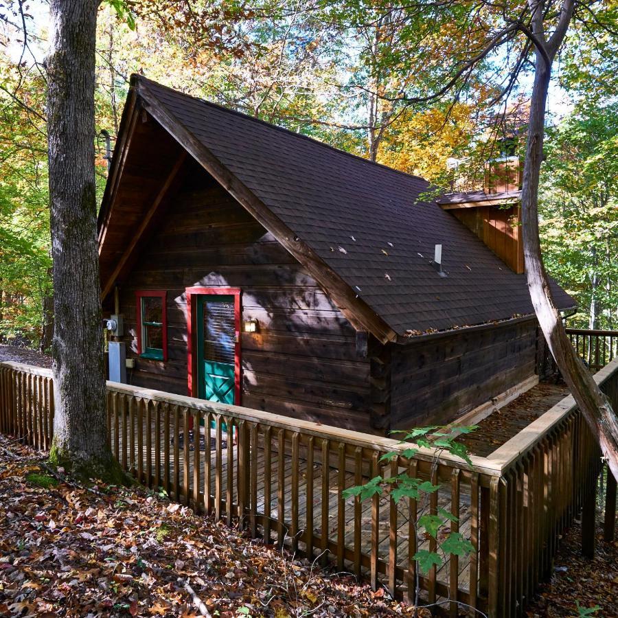 פיג'ן פורג' A Cabin In The Woods מראה חיצוני תמונה