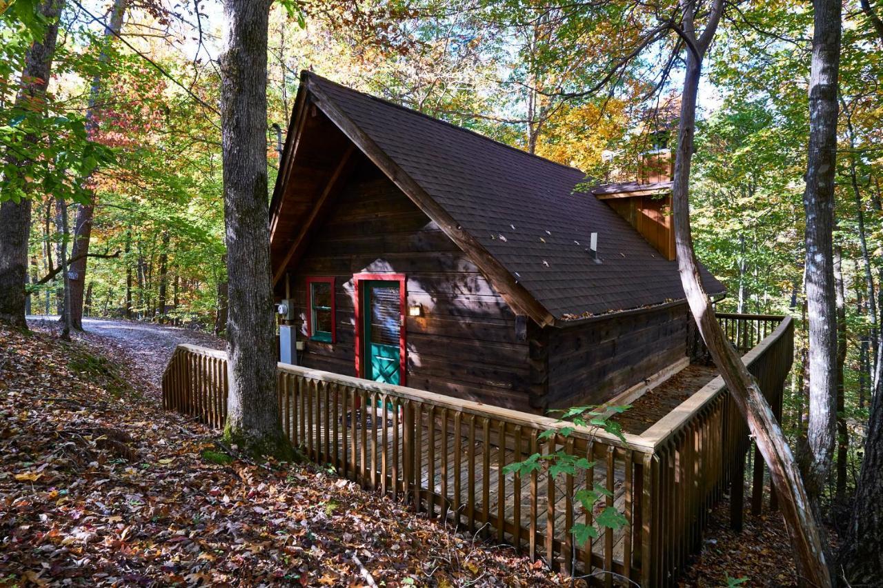 פיג'ן פורג' A Cabin In The Woods מראה חיצוני תמונה