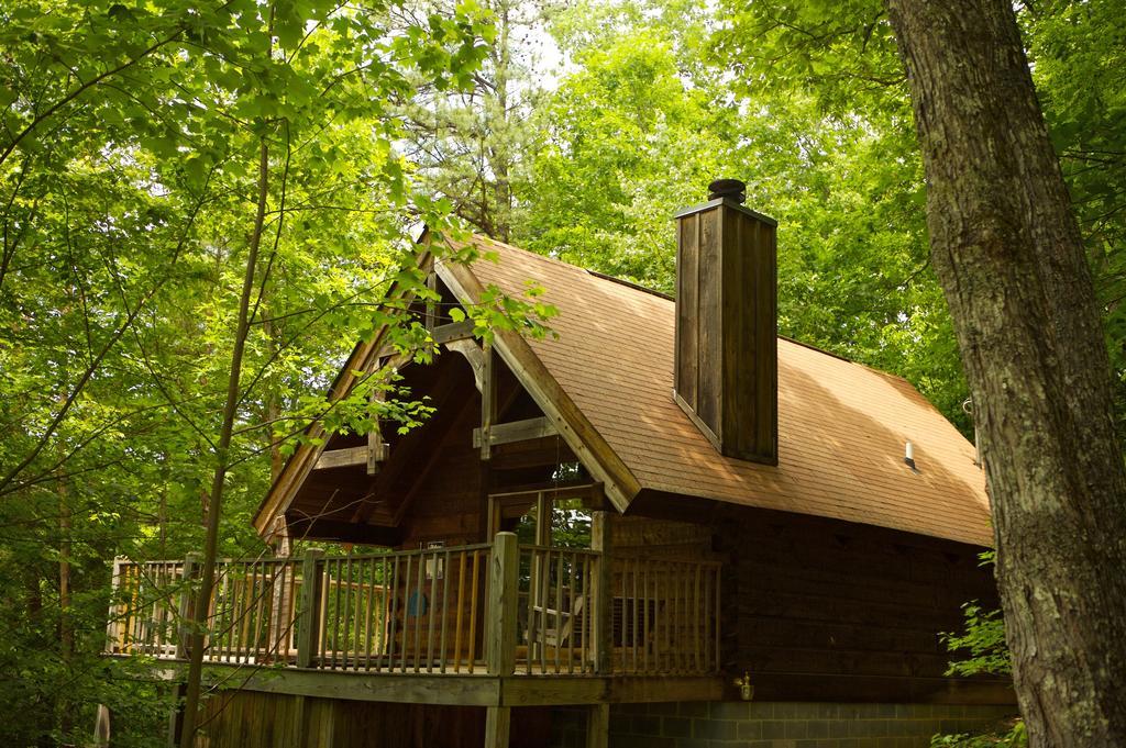 פיג'ן פורג' A Cabin In The Woods מראה חיצוני תמונה